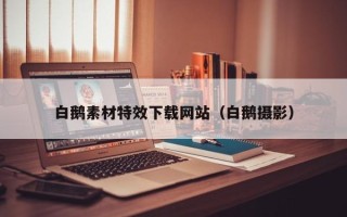 乐平白鹅素材特效下载网站（白鹅摄影）